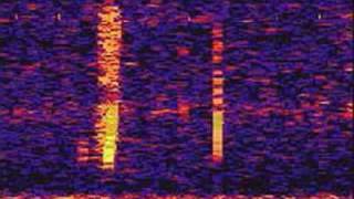 Spectrogram of The Bloop