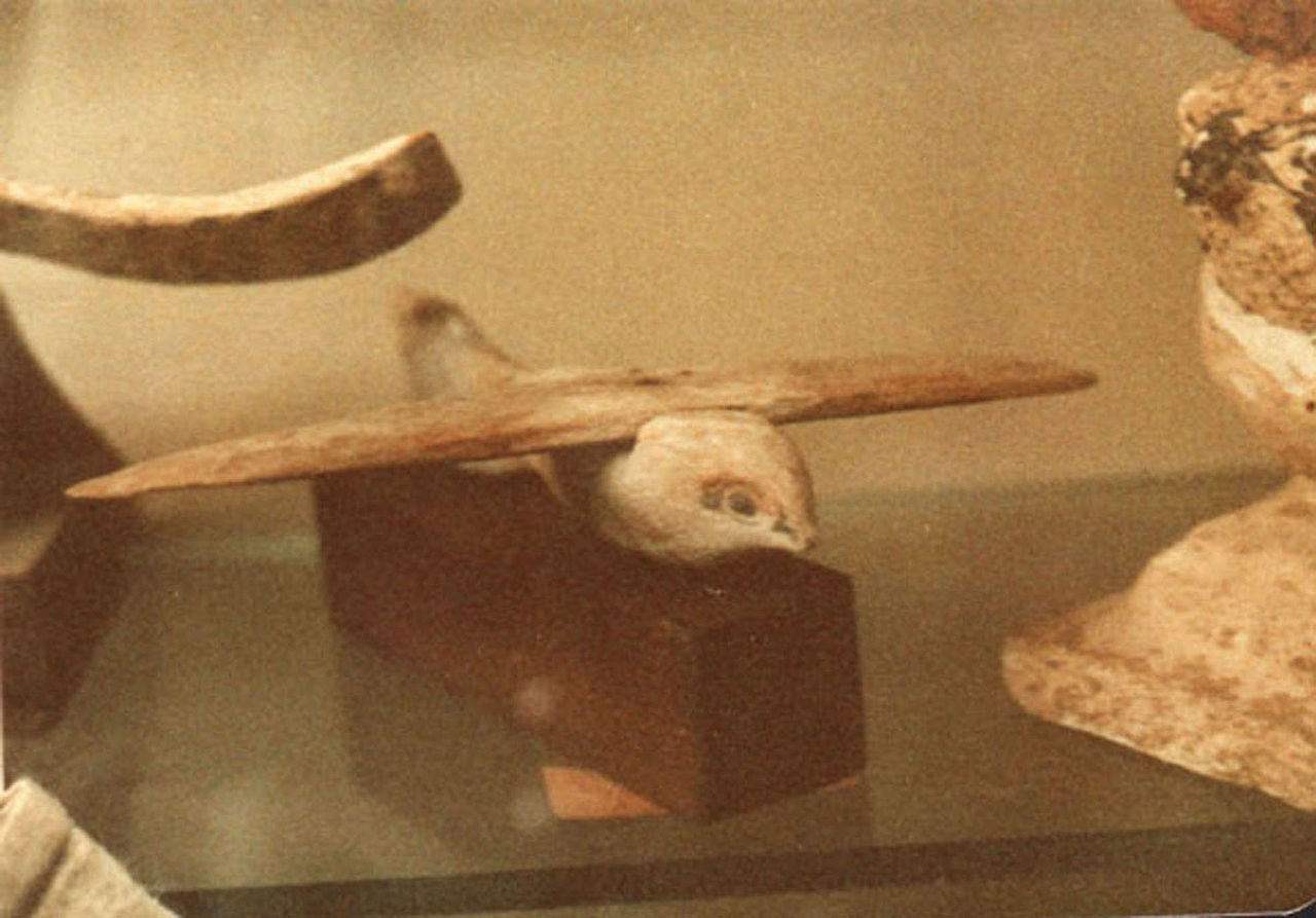 Saqqara Bird Artifact