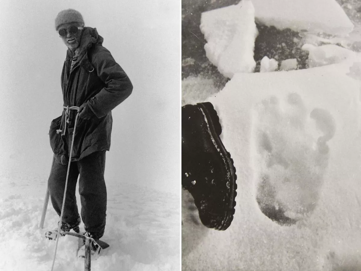 Evidence of large hominid footprint in Himalayan snow